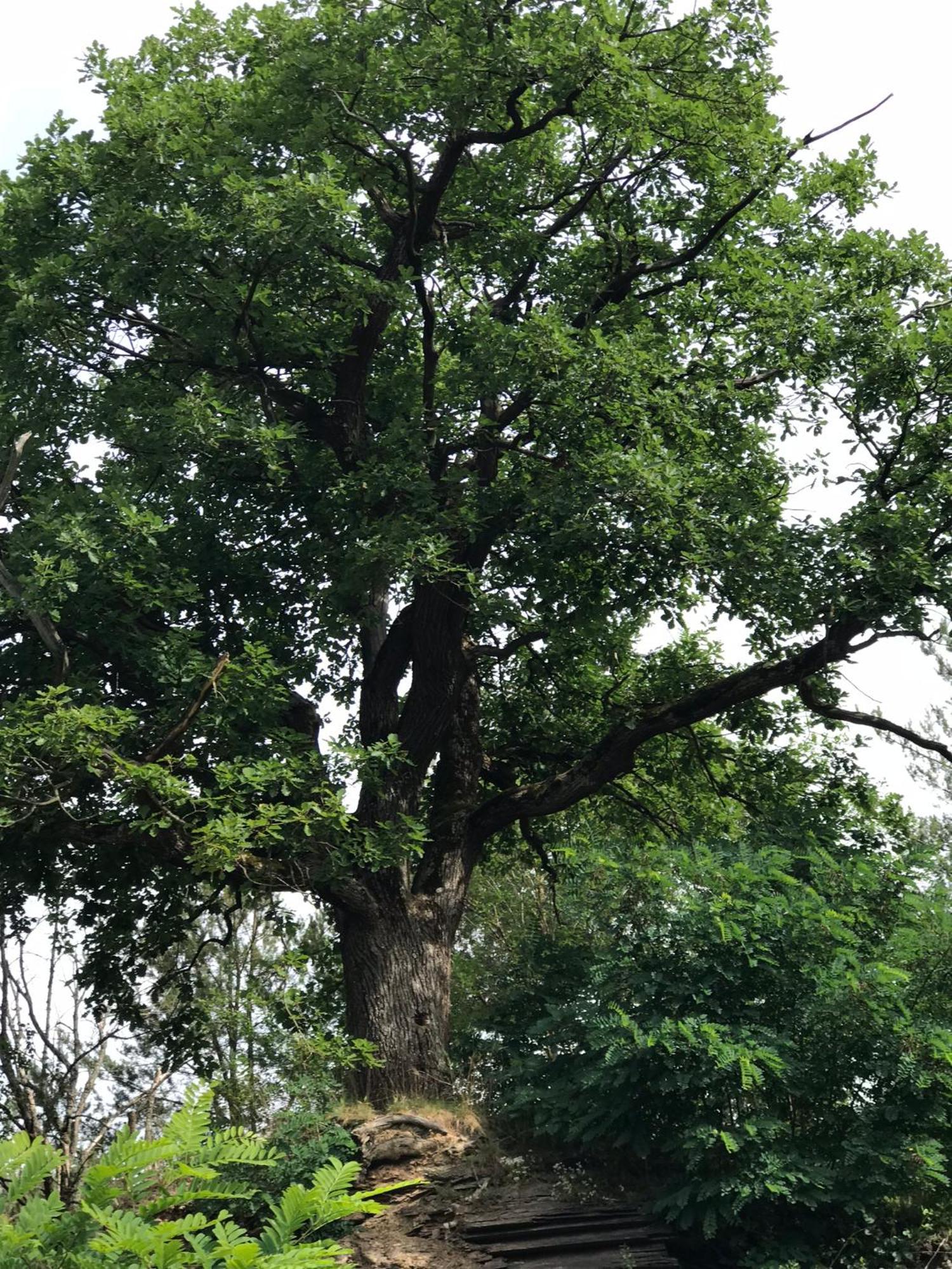 Villmar Casa Siepelungaヴィラ エクステリア 写真